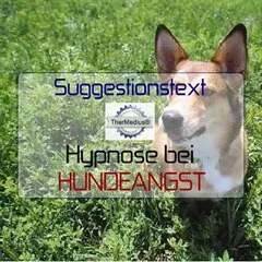 Suggestionstext Hypnose bei HUNDEANGST